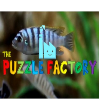 The Puzzle Factory Steam Key GLOBAL